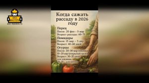 Когда сажать рассаду в 2026 году