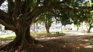 квартира  центр