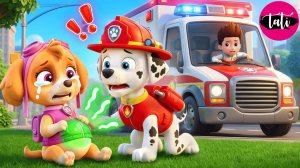 Щенячий патруль и Маршалл. Залипательное видео. Мультфильм для детей и малышей. Анимация 254