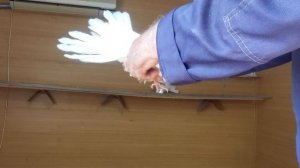 VID_20240610_105122.mp4