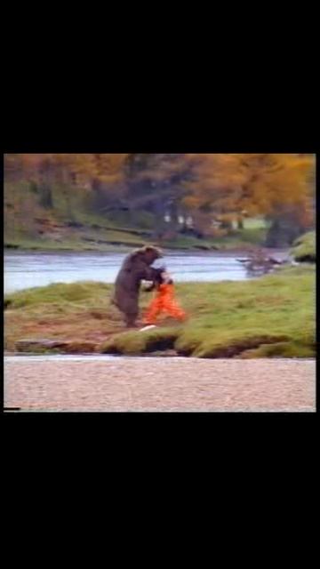 Бой с медведем за рыбу. Прикольное видео. Не делайте так.