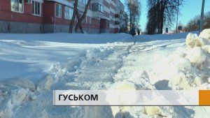 Передвигаются гуськом