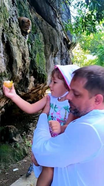 Обезьяны совсем рядом — кормление с рук