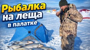 Зимняя рыбалка на леща в палатке в Новгородской области