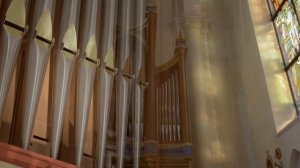 Александр Фисейский (Москва). Концерт «Бах и его современники» во Владивостоке 27 февраля