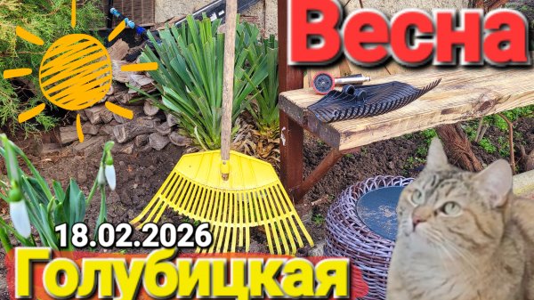 #Голубицкая 18 Февраля 2026 Пришла весна, можно сажать картошку 😊