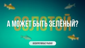 А может быть зелёный?