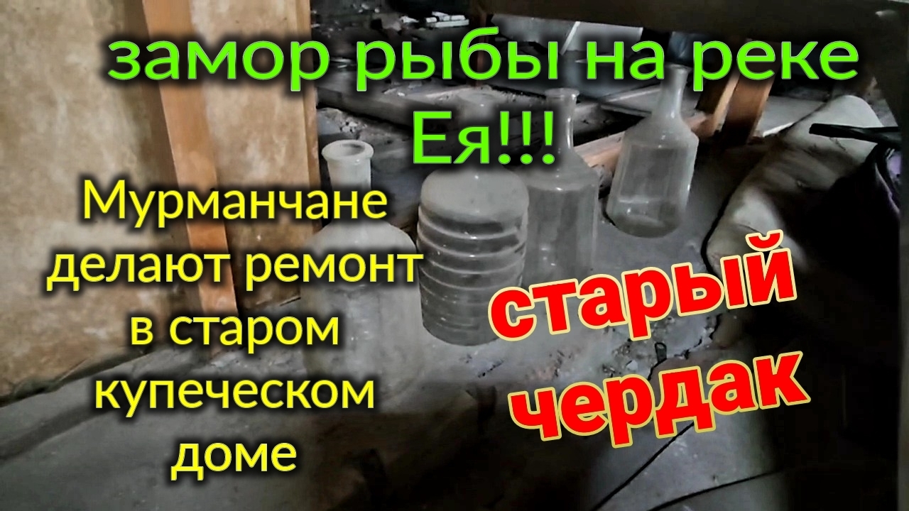 Ейск. Замор рыбы, 40 тонн!!! Старый купеческий дом, чердак. Мурманчане делают ремонт. смотреть онлайн