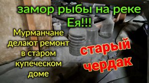 Ейск. Замор рыбы, 40 тонн!!! Старый купеческий дом, чердак. Мурманчане делают ремонт.