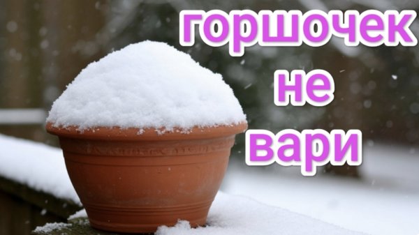 18 февраля. Пасеку продолжает засыпать снегом. Пчеловодство Владимирской области.
