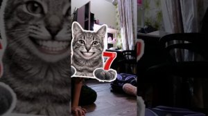 lv_0_20260218182046.mp4