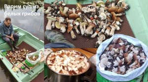 СУП ИЗ БЕЛЫХ ГРИБОВ -ЦАРСКИЙ  / Самый вкусный и полезный суп (30-50ккал на 100гр)  .