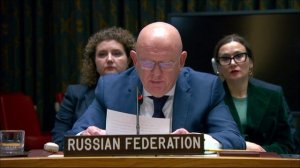 Statement by Vassily Nebenzia at UNSC Briefing on Libya