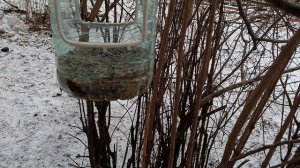 На завтрак все дружно собрались.