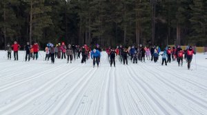 Лыжня России 2026