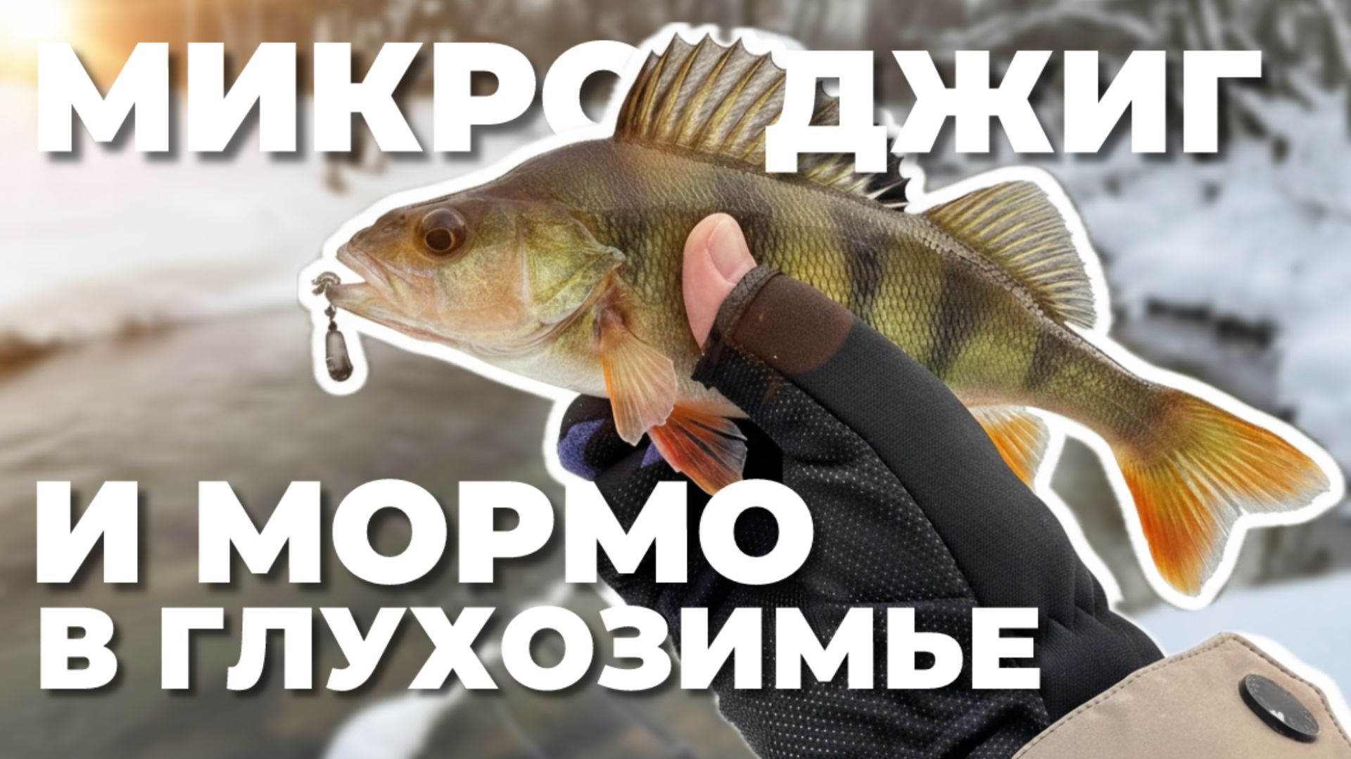 МИКРОДЖИГ И МОРМО на малой реке! Ловля ОКУНЯ на СПИННИНГ ЗИМОЙ. РЫБАЛКА в глухозимье. МИКРОДЖИГ И МОРМО на малой реке! Ловля ОКУНЯ на СПИННИНГ ЗИМОЙ. РЫБАЛКА в глухозимье.