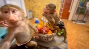 Влад стал вешать новые картины, а Степашка и Маняшка помогают ему В ЧЕТЫРЕ РУКИ)))