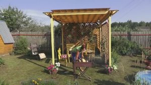 6 соток 20 июля 2021 года. Готовлюсь к ужину. Пробую перец, огурцы и помидоры