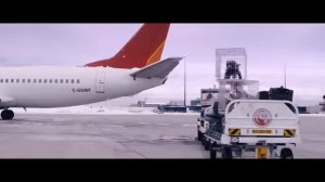 Официальный трейлер "Кот и пёс / Cat & Dog (2024)"