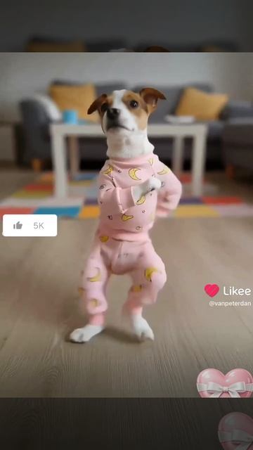 Мария Жадан - ЧСВ