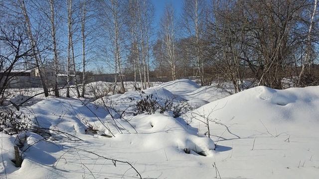 12307.mp4 смотреть онлайн