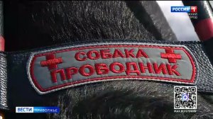 Обильные снегопады превратили Нижний Новгород в полосу препятствий