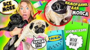 РАСПАКОВКА СТРАННЫХ ПОКУПОК Для СОБАК! МОПСЫ в ШОКЕ! НА ЧТО Мы ПОТРАТИЛИ 40000 Рублей?!
