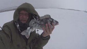 РЫБАЛКА НА ЖИГУЛЁВСКОЙ ГЭС. БЕЗ ТРОФЕЕВ НЕ ОСТАЛИСЬ...