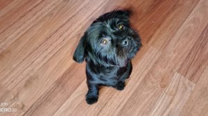 Я сегодня на домашнем болталка