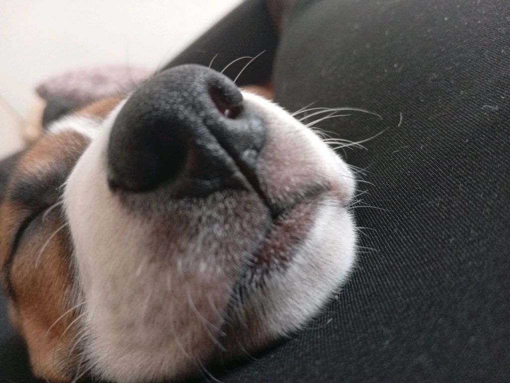 пробный смотреть онлайн