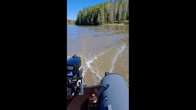 Проба Аква 2900+Марлин 3 после обкатки..