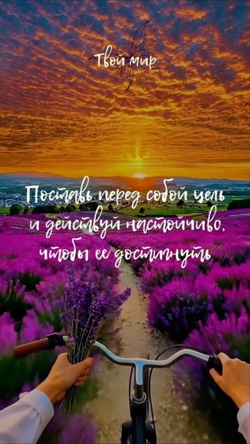 Поставь перед собой цель 
и действуй настойчиво, 
чтобы ее достигнуть
☀️☀️☀️☀️☀️☀️