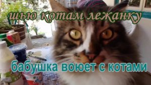 № 992 шью котам лежанку // бабушка воюет с котами