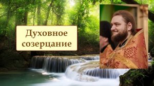 ДУХОВНОЕ СОЗЕРЦАНИЕ. Отец Савва (Мажуко)