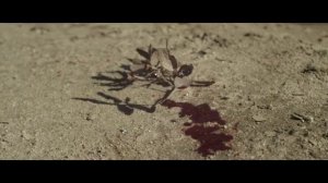 Официальный трейлер "Тени крипты (2024)"