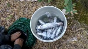 Рыбалка на озере Grace