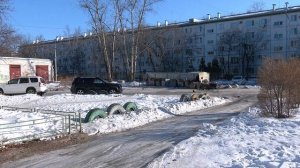 Воронья проблема: пернатые облюбовали дворы и детские площадки в Благовещенске