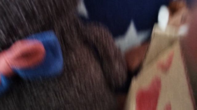 басик лили и их друзья празднуют Масленицу и сагалган 🎉 смотреть онлайн