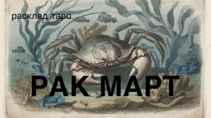 РАК таро прогноз на МАРТ 2026 [расклад таро] [гадание онлайн]