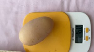 116 ГРАММОВ ВЕС КУРИНОГО ЯЙЦА