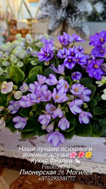 🐇✨️Урок от императора Диоклетиана.
🌸Если вам кажется, что увлечение грядками и горшками смотреть онлайн