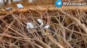 «Отважные»отражают контратаки врага, уничтожая пехоту и технику ВСУ под Покровском и в Днепропетровс