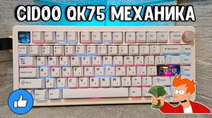 Полный обзор Cidoo QK75 | Gasket, Hot-Swap и 4000 mAh