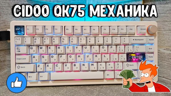 Полный обзор Cidoo QK75 | Gasket, Hot-Swap и 4000 mAh