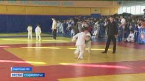 Дзюдоисты СКФО и ЮФО собрались на Ставрополье