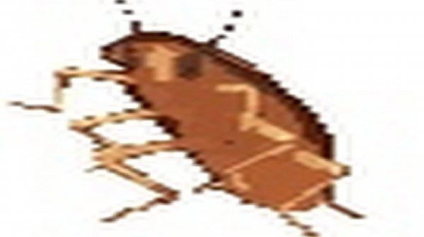 I know SECRETS MOD "ALEX'S MOBS" IN MINECRAFT