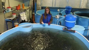 «Экспертное мнение». Выпуск 144