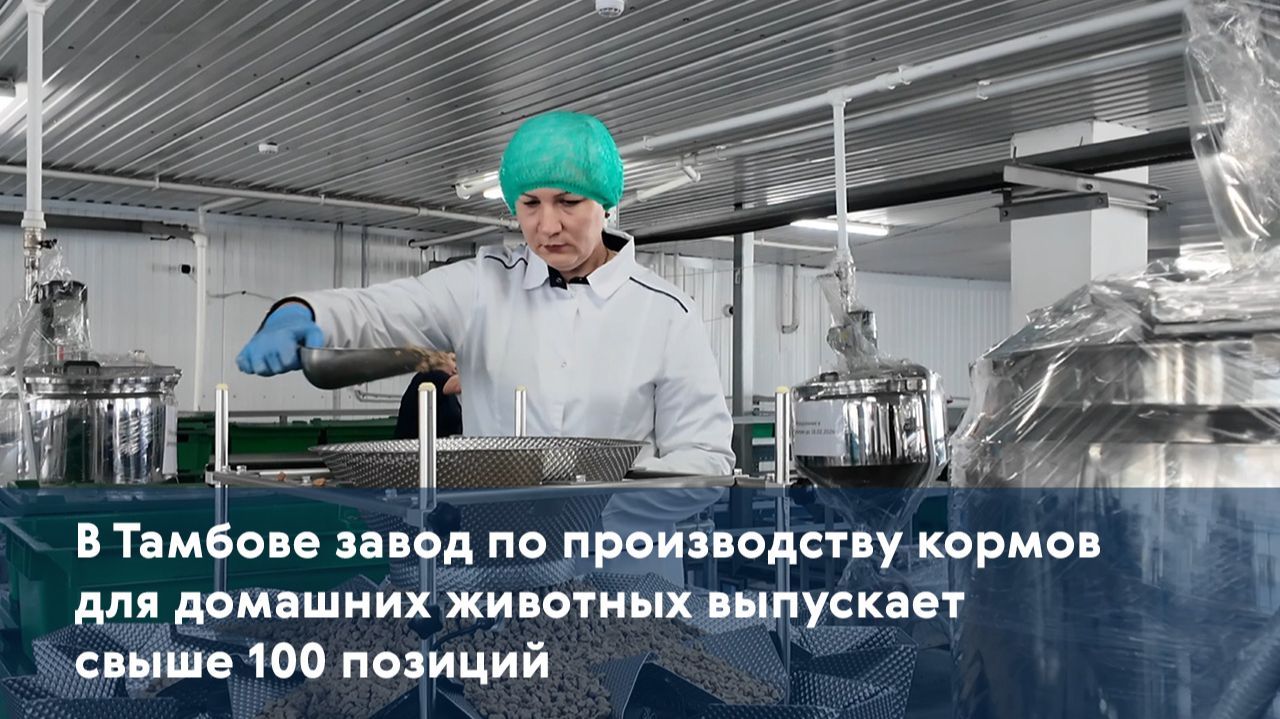 В Тамбове завод по производству кормов для домашних животных выпускает свыше 100 позиций смотреть онлайн