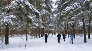 Подморозило