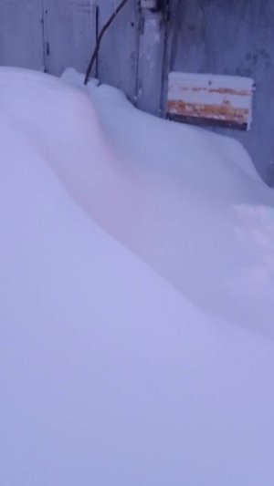 Замело